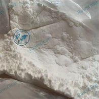 عضو الكنيست -2866